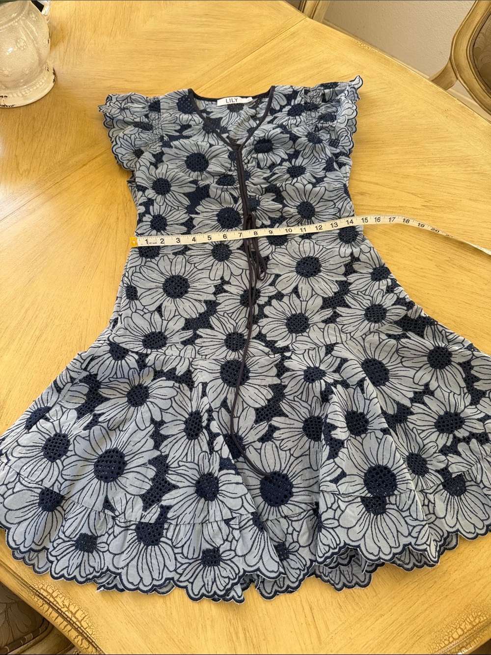 Lily Navy and Light Blue Floral Lace Fit & Flare Dress